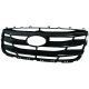 KÜHLERGRILL      SANTA FE, passend für 45970 86561-2B710
