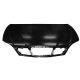 MOTORHAUBE         EVANDA, passend für 03->> 96404564