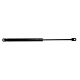 GASFEDER MOTORH.   DUSTER, passend für 09->>
