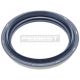 Simmerring Radnabe Vorne passend für NISSAN 100NX, NISSAN AD Van, NISSAN ALMERA, NISSAN LUCINO, NISSAN NV, NISSAN PRESEA, NISSAN PULSAR, NISSAN RASHEEN, NISSAN SABRE, NISSAN SENTRA, NISSAN SUNNY, NISSAN TSURU, NISSAN WINGROAD / AD