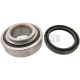 Kugellager hinterachswelle reparatursatz passend für DAIHATSU EXTOL, DAIHATSU HIJET, DAIHATSU MATERIA, DAIHATSU TERIOS, TOYOTA bB, TOYOTA CAMI, TOYOTA PASSO, TOYOTA PIXIS, TOYOTA PIXIS EPOCH, TOYOTA PIXIS JOY, TOYOTA PIXIS MEGA, T