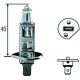 LEUCHTMITTEL passend für H1 Glühlampe N0177612