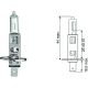 H1 12V 55W P14,5s passend für H1 Glühlampe N0177612