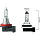 H16 12V 19W PGJ19-3 passend für H16 Glühlampe      Halogen