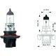 H13 12V 60/55W P26,4t passend für H13 Glühlampe      Halogen