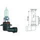 HB3 [9005] 12V 60W P20d passend für HB3 Glühlampe     Longlife N10130101