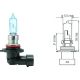LEUCHTMITTEL passend für HB3 Glühlampe   Xenonlook N10130101