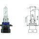 ,B3A [9005XS] 12V 60W P20d passend für HB3A Glühlampe    Halogen