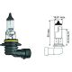 HB4 [9006] 12V 51W P22d passend für HB4 Glühlampe     Longlife N000000000069