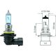 HB4 [9006] 12V 51W P22d passend für HB4 Glühlampe   Xenonlook N000000000069