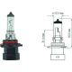 HB4A [9006XS] 12V 51W P22d passend für HB4A Glühlampe    Halogen