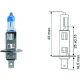 H1 12V 55W P14,5s passend für H1 Glühlampe Halogen N0177612