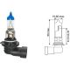 HB3 [9005] 12V 60W P20d passend für HB3 Glühlampe N10130101