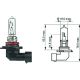 HIR2 [9012] 12V 55W PX22d passend für HIR2 Glühlampe   Halogen