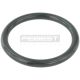 Dichtring, drosselklappenstutzen passend für DACIA DOKKER, DACIA DUSTER, DACIA LODGY, DACIA LOGAN, NISSAN BLUEBIRD SYLPHY, NISSAN KUBISTAR, NISSAN LIVINA / GRAND LIVINA, NISSAN PRIMASTAR, RENAULT CAPTUR, RENAULT CLIO, RENAULT DOKK