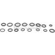 Dichtring o-ring, klimaleitung passend für HONDA CRX, HONDA CITY, NISSAN MAXIMA, NISSAN (ZHENGZHOU) NV200, RIICH M1, HYUNDAI EON, KIA PEGAS, HYUNDAI ix55, HONDA S2000, HYUNDAI GRAND SANTA FÉ, FORD TRANSIT TOURNEO, HYUNDAI i10, KIA