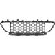 GRILL MITTE       F30/F31, passend für 11-19 51118054132