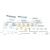 Bremsbacken montagesatz passend für LEXUS ES, LEXUS GS, LEXUS GX, LEXUS IS, LEXUS LS, LEXUS LX, LEXUS RX, LEXUS SC, TOYOTA 4 RUNNER, TOYOTA ALPHARD, TOYOTA ALPHARD / VELLFIRE, TOYOTA ALTEZZA, TOYOTA ALTEZZA GITA, TOYOTA ARISTO, TO