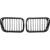 DESIGNGRILL SET       E36, passend für 96-99    SPORT-PERFORMANCE
