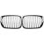 DESIGNGRILL SET       E46, passend für 98-01   SPORT-PERFORMANCE