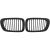 DESIGNGRILL SET       E46, passend für 99-02    SPORT-PERFORMANCE