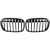 DESIGNGRILL SET       F48, passend für 15-06.19 PERFORMANCE-OPTIK