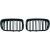 DESIGNGRILL SET       F25, passend für 10-14          SPORT-OPTIK