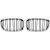 DESIGNGRILL SET       F20, passend für 11-15   SPORT-PERFORMANCE,