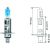 H1 12V 55W P14,5s passend für H1 Glühlampe Xenon Look N0177612