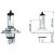 HS1 12V 35/35W PX43t passend für HS1 Glühlampe      Halogen