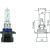 ,B3A [9005XS] 12V 60W P20d passend für HB3A Glühlampe    Halogen