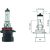 HB4A [9006XS] 12V 51W P22d passend für HB4A Glühlampe    Halogen