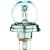R2 12V 45/40W P45t passend für R2 Glühlampe     Halogen