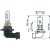 HIR2 [9012] 12V 55W PX22d passend für HIR2 Glühlampe   Halogen