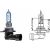 HIR2 [9012] 12V 55W PX22d passend für HIR2 Glühlampe   Halogen